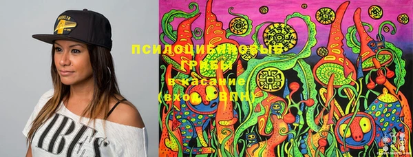 PSILOCYBIN Сосновоборск