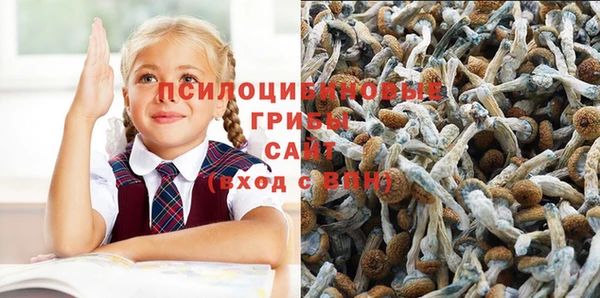 PSILOCYBIN Сосновоборск
